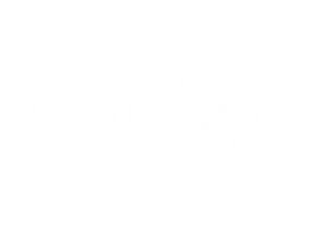 American Oncology Network